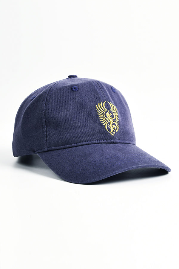 Dragon Age Grey Wardens Hat