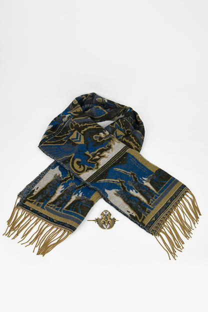 Ensemble cape et broche Dragon Age Tale of a Grey Warden