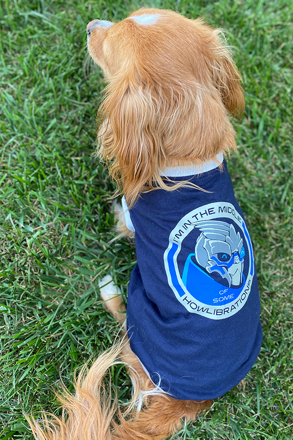 Mass Effect Garrus Barkarian Dog Tee and Bandana Set – Official BioWare Gear  Store