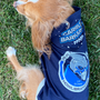 Image shows Mass Effect Garrus Barkarian Dog Tee worn by a dog while resting on a field of grass.