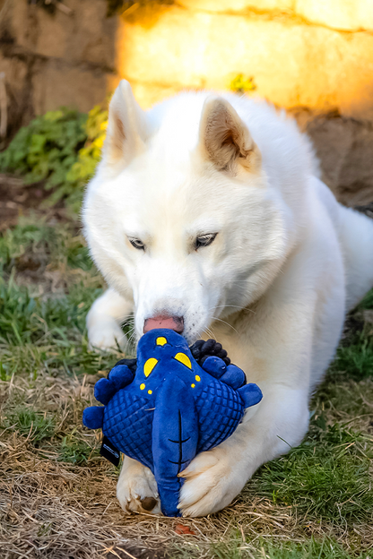 Image shows Mass Effect Pet Chew Toy played by a white dog. Product is made with 100% polyester nontoxic microfiber.