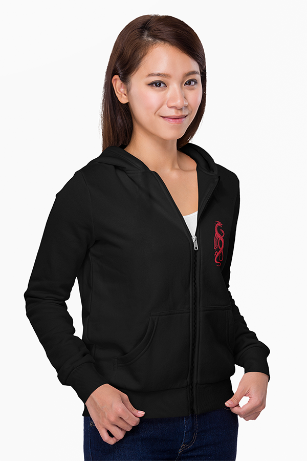 Dragon Age Tevinter Hoodie – Official BioWare Gear Store