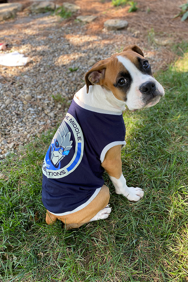 Image shows Mass Effect Garrus Barkarian Dog Tee worn by a small bull boxer dog. Product features contrast binding. 