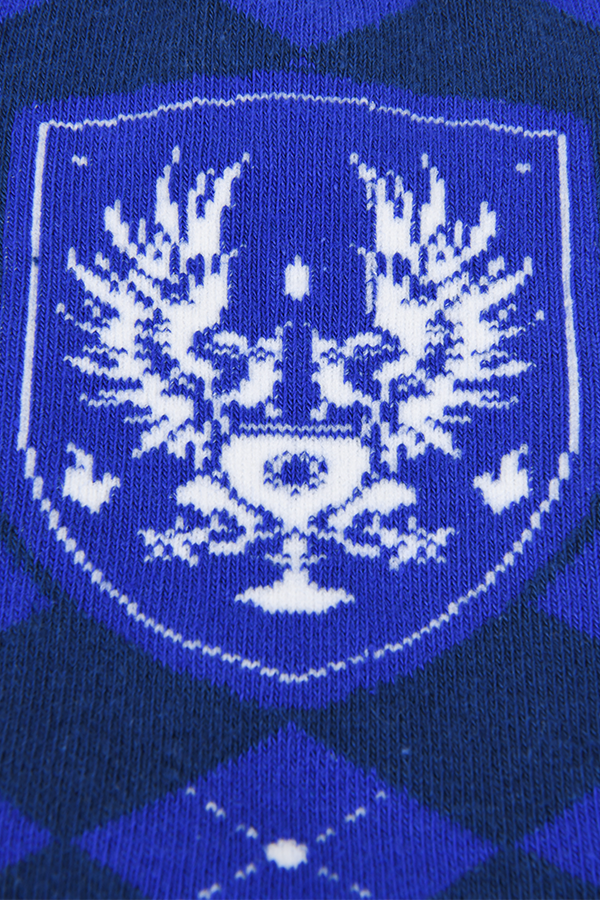 Image shows Dragon Age Grey Warden blue argyle socks with the Commander of the Grey's logo zoomed in. 